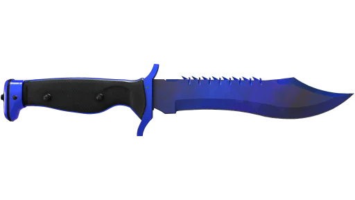 ★ Bowie Knife | Doppler