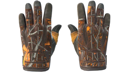 ★ Sport Gloves | Big Game