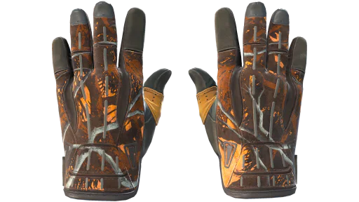 ★ Sport Gloves | Big Game