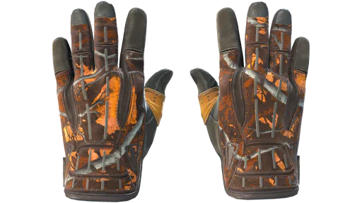 ★ Sport Gloves | Big Game