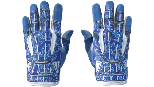 ★ Sport Gloves | Amphibious