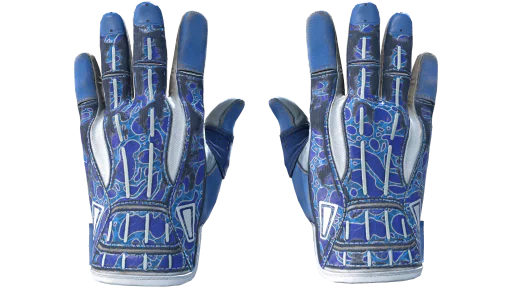 ★ Sport Gloves | Amphibious