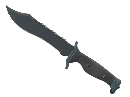★ StatTrak™ Bowie Knife | Night