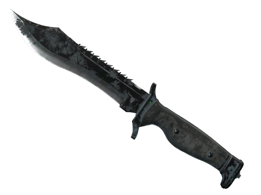 ★ StatTrak™ Bowie Knife | Night