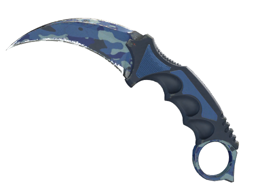 ★ StatTrak™ Karambit | Bright Water