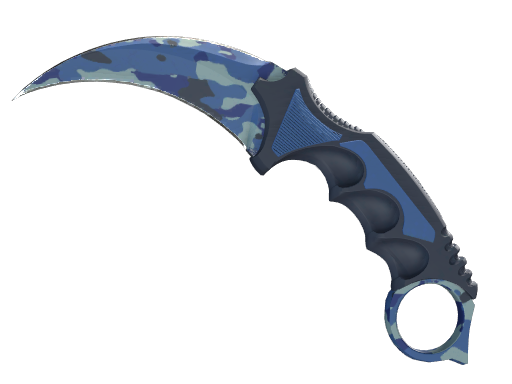 ★ StatTrak™ Karambit | Bright Water