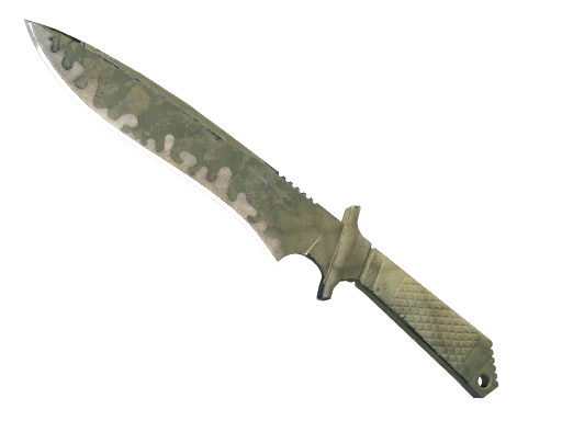 ★ StatTrak™ Classic Knife | Safari Mesh