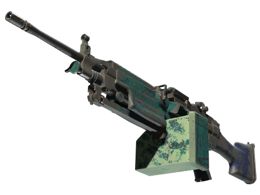 M249 | Shipping Forecast