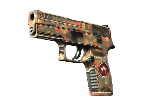 StatTrak™ P250 | Red Rock