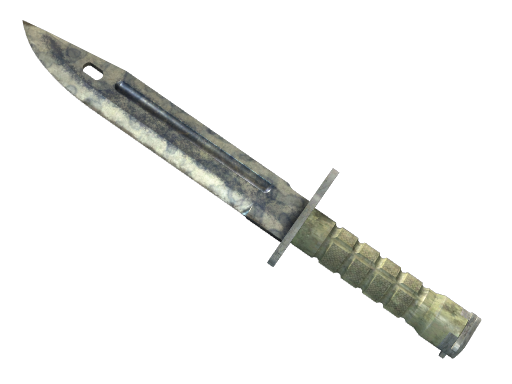★ StatTrak™ Bayonet | Stained