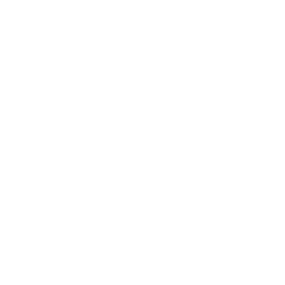 Team Secret Team Sticker - TI 2022