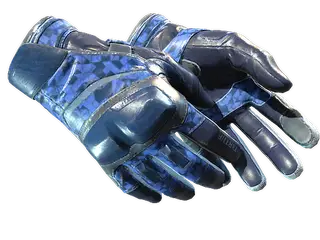 ★ Moto Gloves | Polygon