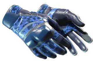★ Moto Gloves | Polygon
