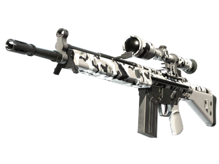 Souvenir G3SG1 | Polar Camo