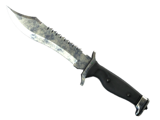 ★ StatTrak™ Bowie Knife | Stained