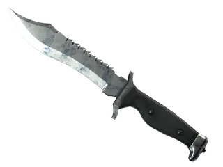 ★ StatTrak™ Bowie Knife | Stained