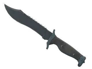 ★ StatTrak™ Bowie Knife | Night