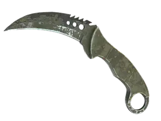 ★ StatTrak™ Talon Knife | Safari Mesh