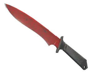 ★ StatTrak™ Classic Knife | Crimson Web