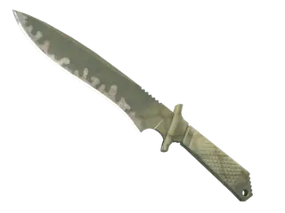 ★ StatTrak™ Classic Knife | Safari Mesh
