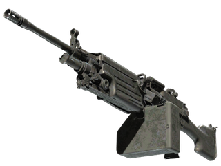 M249 | Midnight Palm