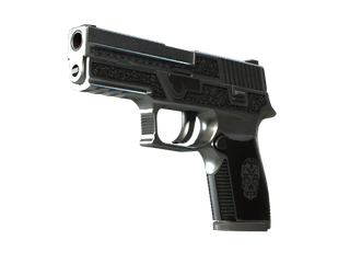 StatTrak™ P250 | Cartel