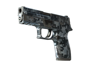StatTrak™ P250 | Steel Disruption