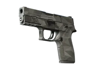 P250 | Facets