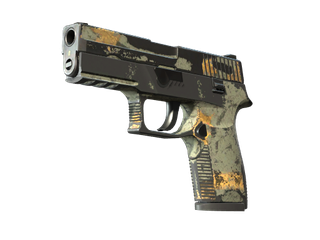 P250 | Modern Hunter