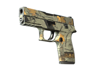 P250 | Modern Hunter
