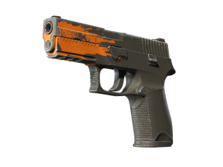 StatTrak™ P250 | Splash