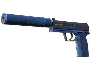 StatTrak™ USP-S | Blueprint