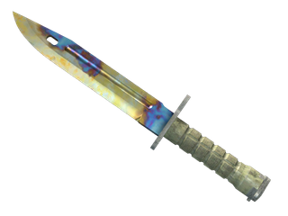 ★ StatTrak™ Bayonet | Case Hardened