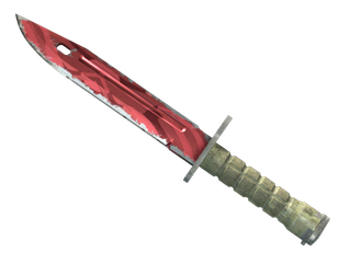 ★ StatTrak™ Bayonet | Slaughter