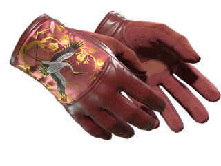 ★ Driver Gloves | Brocade Crane