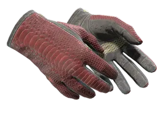 ★ Driver Gloves | Dragon Fists