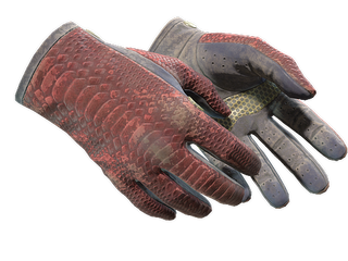 ★ Driver Gloves | Dragon Fists