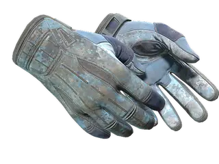 ★ Sport Gloves | Frosty