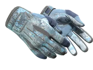 ★ Sport Gloves | Frosty