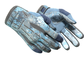 ★ Sport Gloves | Frosty