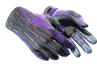 ★ Sport Gloves | Pandora's Box