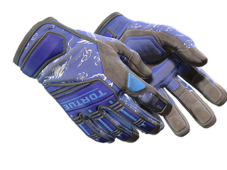 ★ Specialist Gloves | Cloud Chaser