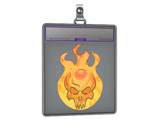 Sticker Slab | Incineration (Holo)