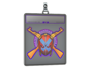 Sticker Slab | Master Guardian Elite (Holo)