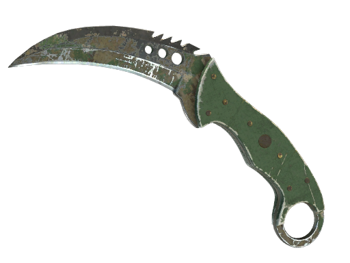 ★ StatTrak™ Talon Knife | Forest DDPAT