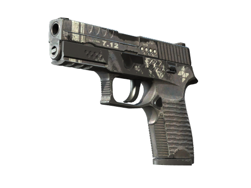StatTrak™ P250 | Re.built
