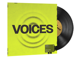 StatTrak™ Music Kit | ShockOne, Voices