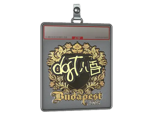 Sticker Slab | dgt (Gold) | Budapest 2025