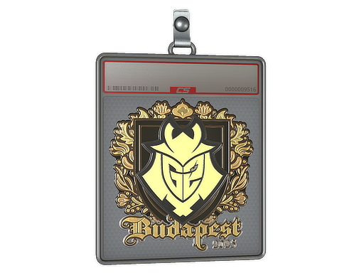 Sticker Slab | G2 esports (Gold) | Budapest 2025