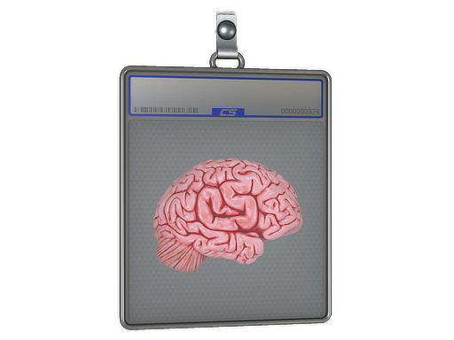 Sticker Slab | CS On The Mind